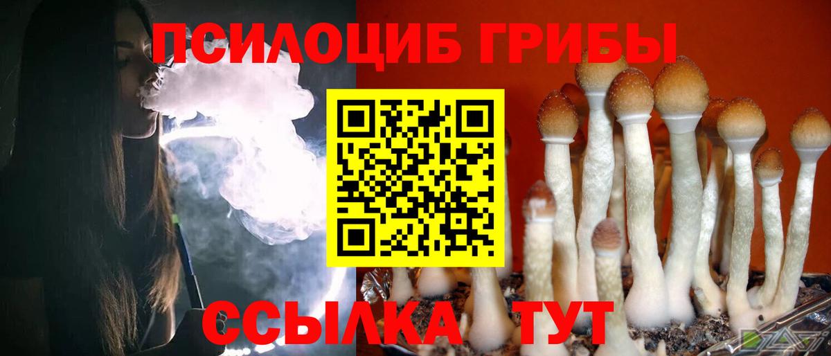 Псилоцибиновые грибы Psilocybine cubensis  Галлюциногенные грибы Magic Shrooms  купить   Вход с VPN  Соликамск 